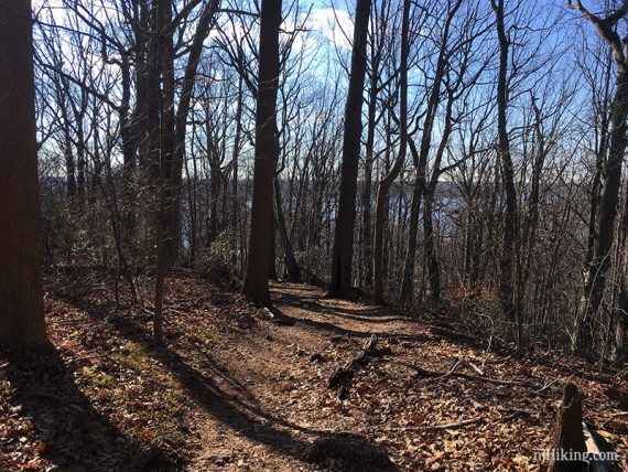 Approaching the limited overlook on Laurel Ridge.