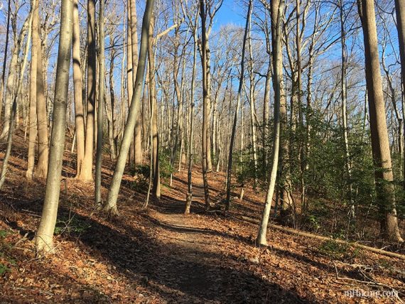 Laurel Ridge Trail.