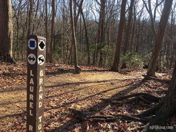 Marker post at the intersection of Laurel and Grand Loop trails.