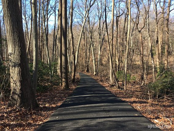 Paved Bunker Loop trail.