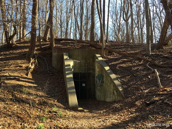 Cement walls at the entrance to an old bunker.