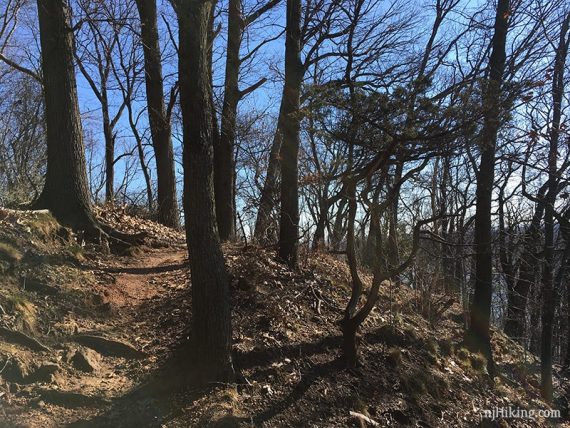 Rocky Point Trail along a hill.