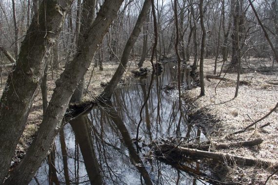 Metedeconk River