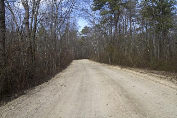 Dirt road from Metedeconk Trail to the Link Trail