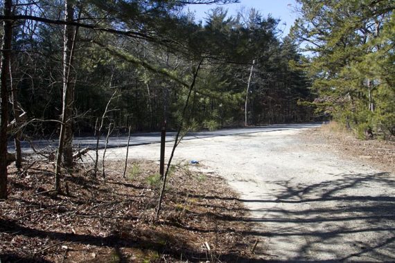 Sand trail crossing a road.