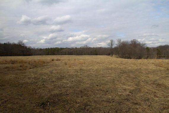 Fitness Trail skirts a large field