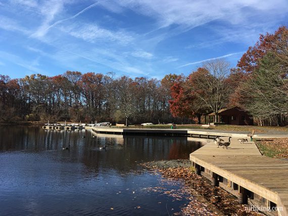 Boat dock at the lake edge