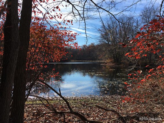 Red foliage around a lake