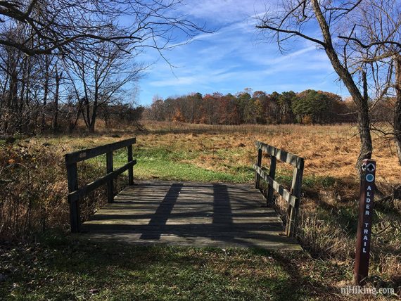 Alder trail marker near a wooden footbridge