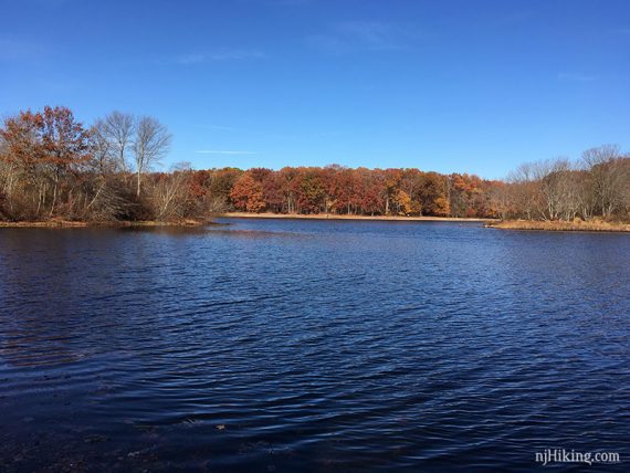 Bright blue Turkey Swamp lake