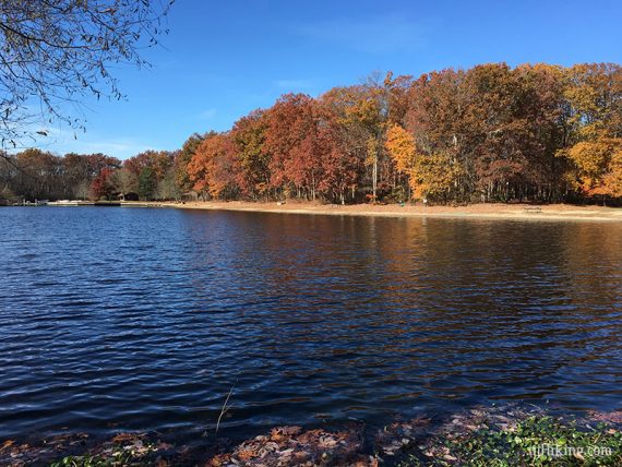 Lake at Turkey Swamp surrounded by fall foliage