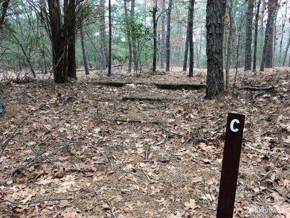 Brown trail marker post with a white "c" on it.
