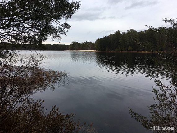 View of Lake Absegami from Joe's Trail.