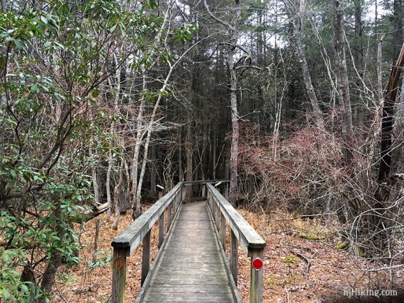 SILVER (absegami) trail through a cedar bog