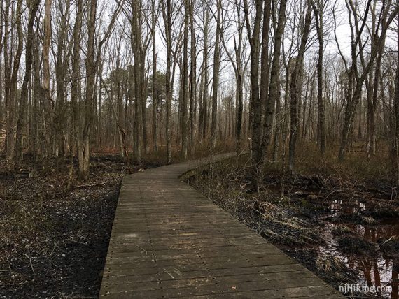 Metedeconk Trail near the river crossing