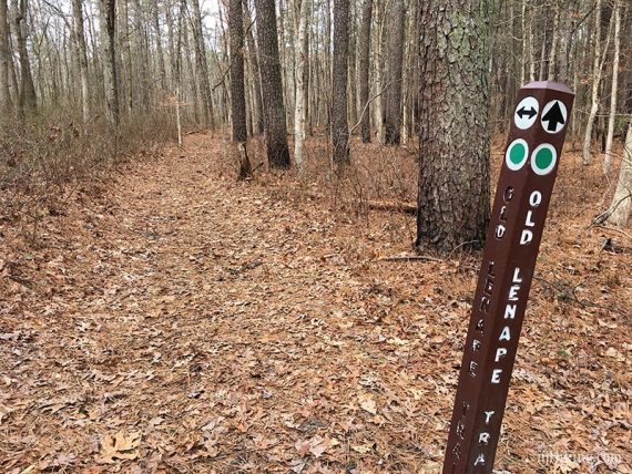 Old Lenape Trail marker post