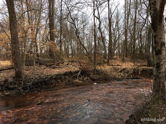 Manasquan River