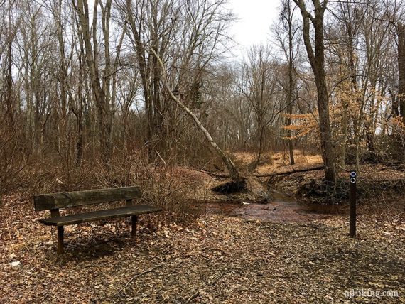 Bench by Manasquan River