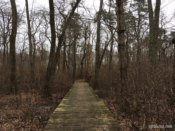 Manasquan Trail