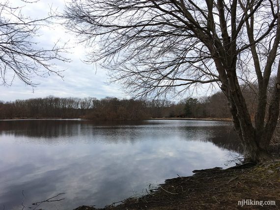 Turkey Swamp Lake