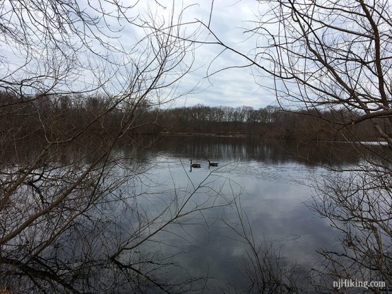 Turkey Swamp Lake