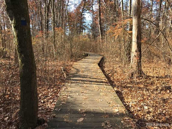 Alder Trail bridge