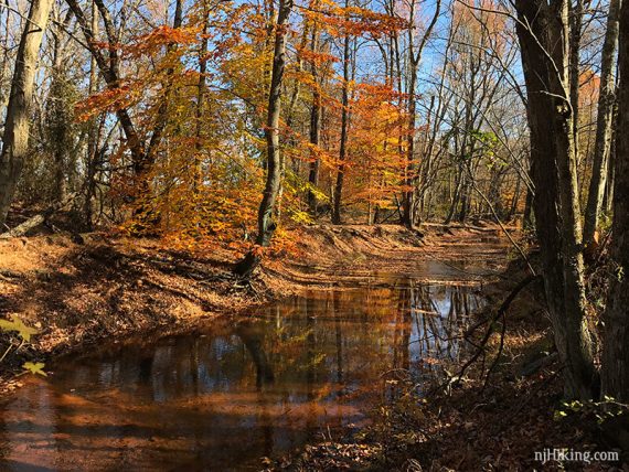 Manasquan River