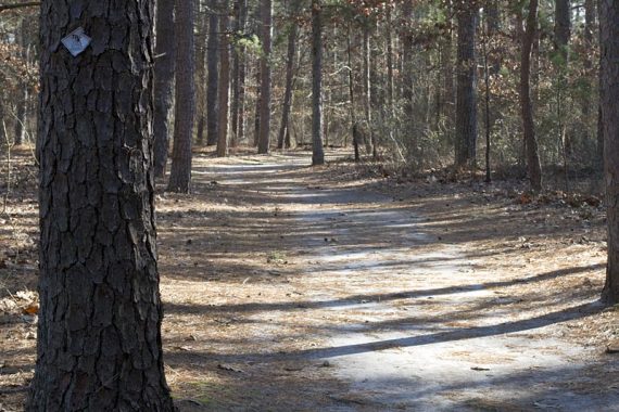 Wide flat sandy path.