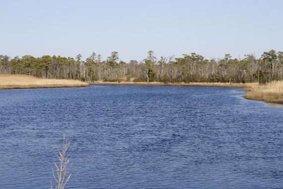 South River.