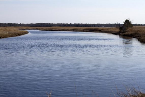 View of the South River from the Swamp Trail boardwalk.