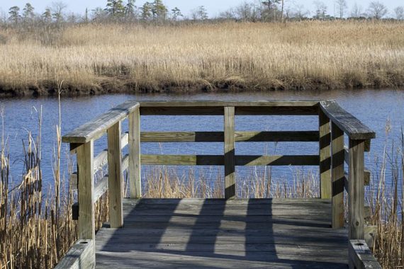 Observation platform next to a creek.