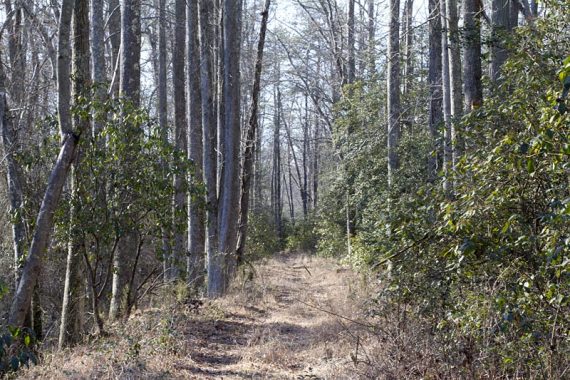 Smokeless Powder Trail.