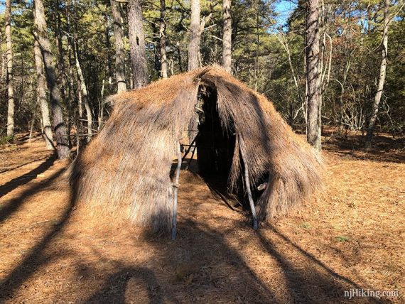 Replica native american hut.