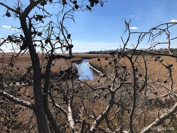 View over the marsh