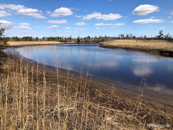 South River from the Swamp Trail.