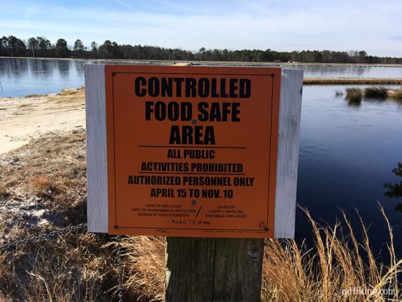 Active cranberry bog.