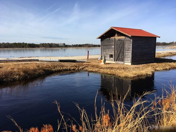 Wooden shack with red roof on a bog