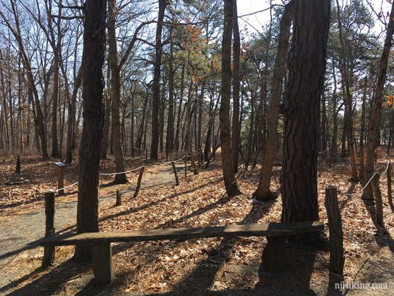 Sensory Trail with rope railings