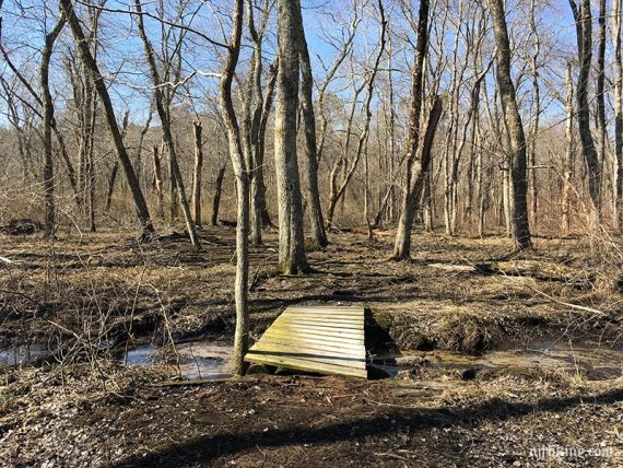 Wooden bridge over a stream