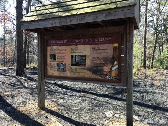 Display board about prescribed burning in New Jersey