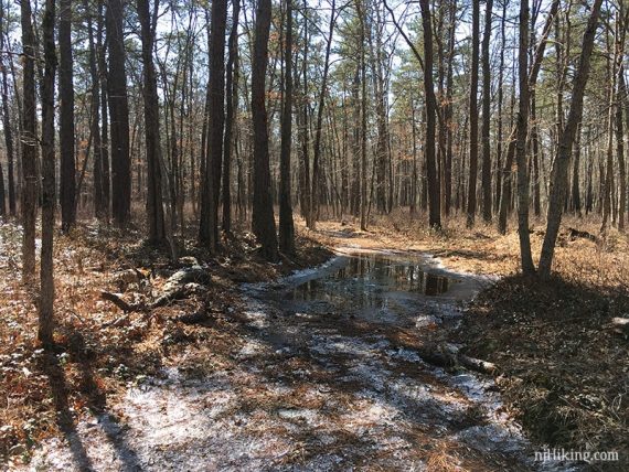 Flooded trail