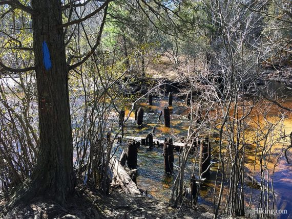 Bridge remains on Stephens Creek.