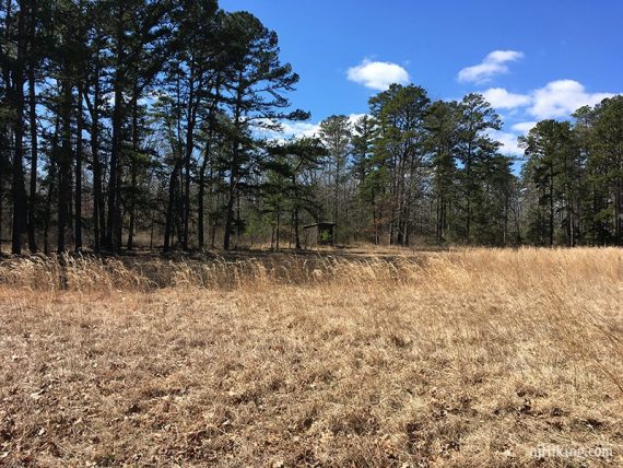 Observation blind off to the side of Cribbers Field.