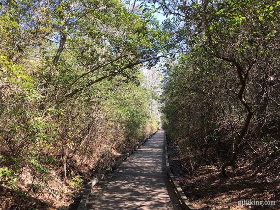Swamp Trail.