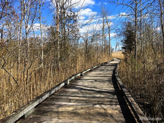 Long wooden boardwalk.