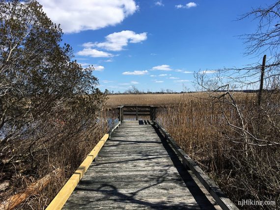 Side trail to a viewpoint along the Swamp Trail.