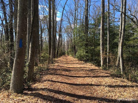 Smokeless Power Run trail.