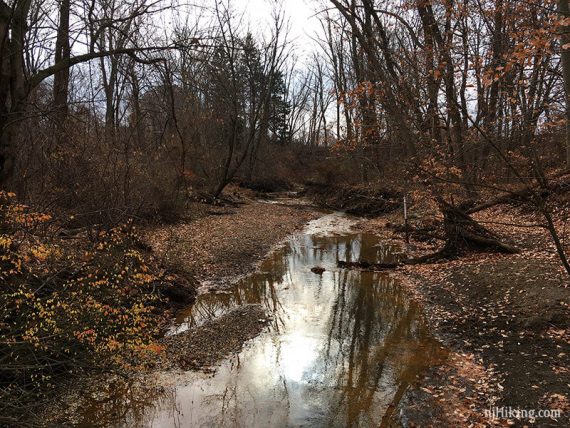 Ramanessin Brook