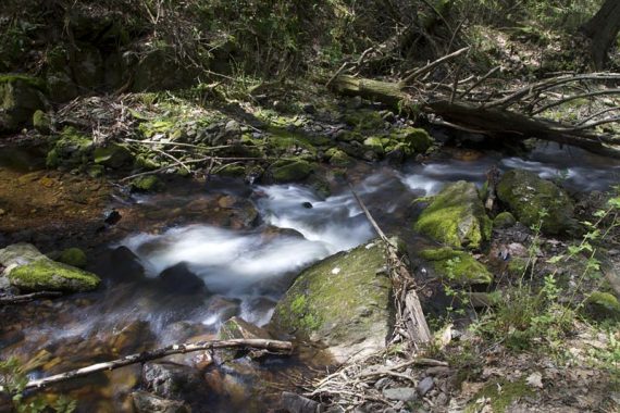 Water flowing over rocks.