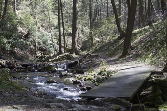 Wooden footbridge over a stream.